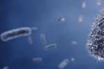 Bakterie w życiu człowieka
