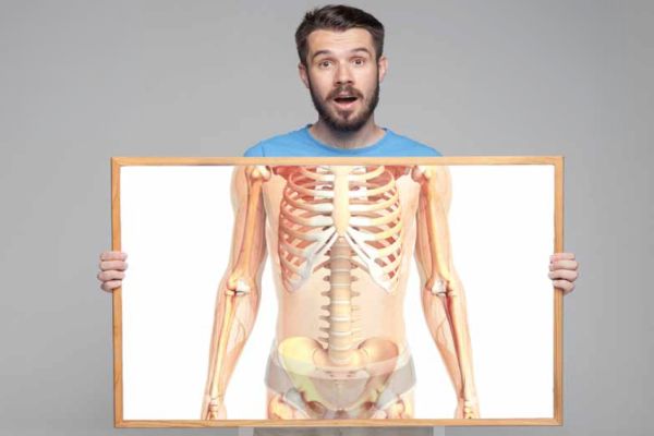 Kości - rusztowanie naszego ciała